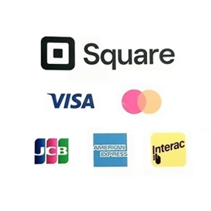 Payment Square Visa Mastercard Interac